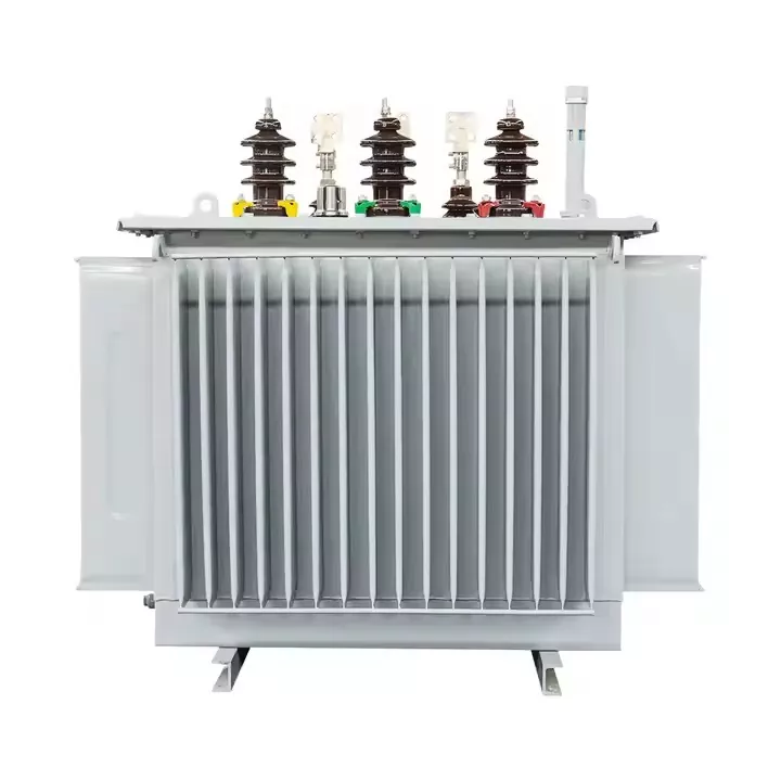 1000 kVA driefasige, in olie ondergedompelde distributietransformatoren met padmontage