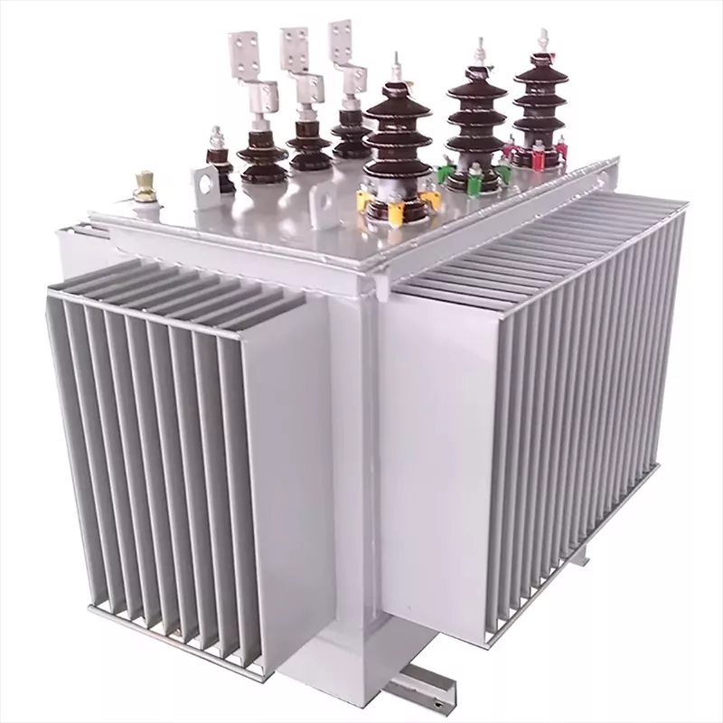 Hoogfrequente driefasige 1000 kVA olie-ondergedompelde transformator